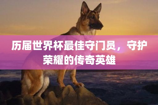 历届世界杯最佳守门员，守护荣耀的传奇英雄