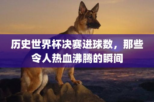 历史世界杯决赛进球数，那些令人热血沸腾的瞬间