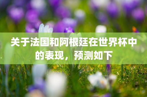 关于法国和阿根廷在世界杯中的表现，预测如下广西贺州市华昌新材料有限公司