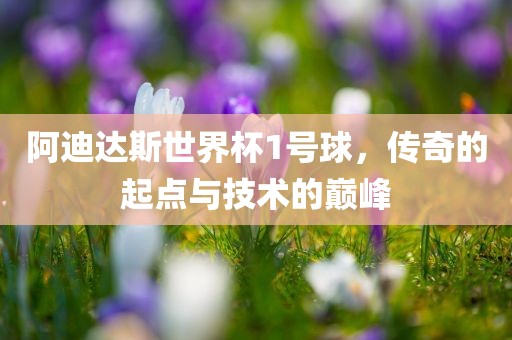 阿迪达斯世界杯1号球，传奇的起点与技广西贺州市华昌新材料有限公司术的巅峰
