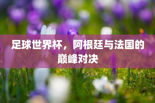 足球世界杯，阿根廷与法国的巅峰对决