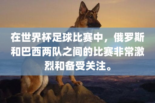 在世界杯足球比赛中，俄罗斯和巴西两队之间的比赛非常激烈和备受关注。广西贺州市华昌新材料有限公司