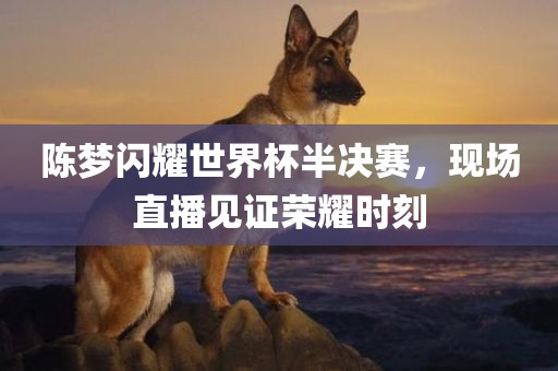 陈梦闪耀世界杯半决赛，现场直播见证荣耀时刻广西贺州市华昌新材料有限公司