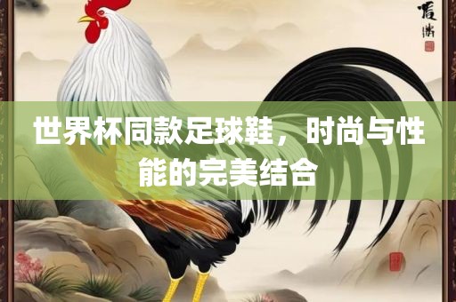 世界杯同款足球鞋，时尚与性能的完美结合广西贺州市华昌新材料有限公司