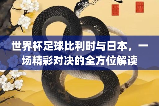 世界杯足球比利时与日本，一场精彩对决的全方位解读广西贺州市华昌新材料有限公司