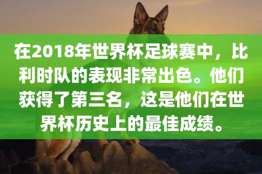 在2018年世界杯足球赛中，比利时队的表现非常出色。他们获得了第三名，这是他们在世界杯历史上的最广西贺州市华昌新材料有限公司佳成绩。