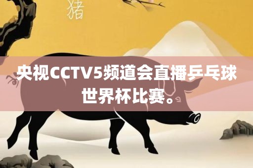 央视CCT广西贺州市华昌新材料有限公司V5频道会直播乒乓球世界杯比赛。