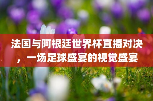 法国与阿根廷世界杯直播对决，一场足球盛宴的视觉盛宴