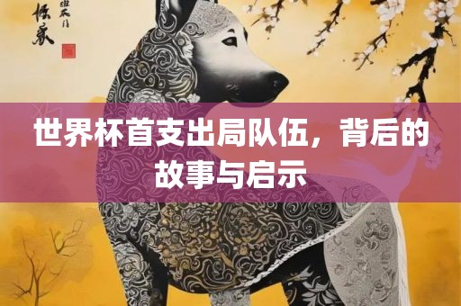 世界广西贺州市华昌新材料有限公司杯首支出局队伍，背后的故事与启示