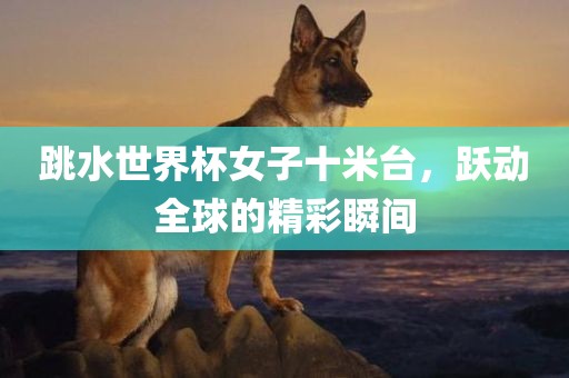跳水世界杯女子十米台，跃动全球的精彩瞬间