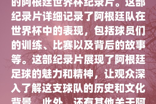 关于阿根廷世界杯的纪录片有很多，其中比较知名的是传奇的阿根廷世界杯纪录片。这部纪录片详细记录了阿根廷队在世界杯中的表现，包括球员们的训练、比赛以及背后的故事等。这部纪录片展现了阿根廷足球的魅力和精神，让观众深入了解这支球队的历史和文化背景。此外，还有其他关于阿根廷世界杯的纪录片，如阿根廷足球崛起之路等。广西贺州市华昌新材料有限公司