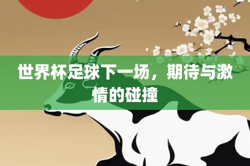 世界杯足球下一场，期待与激情的碰撞广西贺州市华昌新材料有限公司