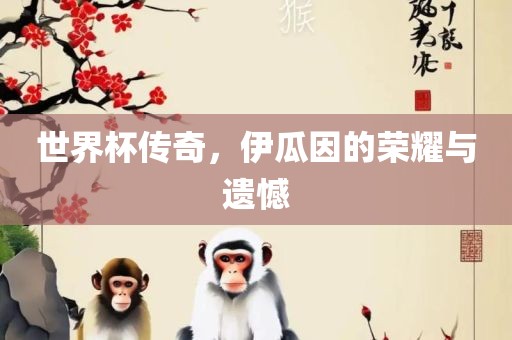 世界杯传奇，伊瓜因的荣耀与遗憾