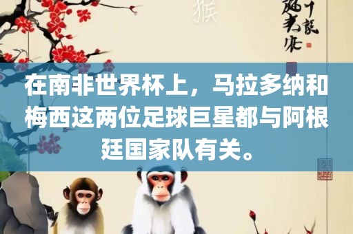 在南非世界杯上，马拉多纳和梅西这两位足球巨星都与阿根廷国家队有关。广西贺州市华昌新材料有限公司