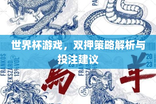 世界杯游戏，双押策略解析与投注建议广西贺州市华昌新材料有限公司