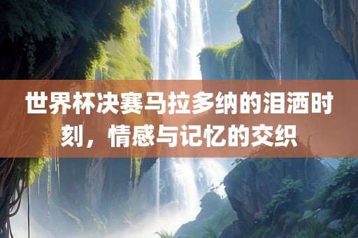 世界杯决赛马拉多纳的泪洒时刻，情感与记忆的交织广西贺州市华昌新材料有限公司