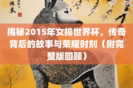 揭秘2015年女排世界杯，传奇背后的故事与荣耀时刻（附完整版回顾）广西贺州市华昌新材料有限公司