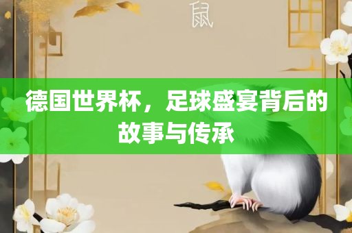 德国世界杯，足球盛宴背后的故事与传承广西贺州市华昌新材料有限公司