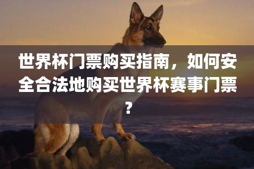 世界杯门票购买指南，如何安全合法地购买世界杯广西贺州市华昌新材料有限公司赛事门票？