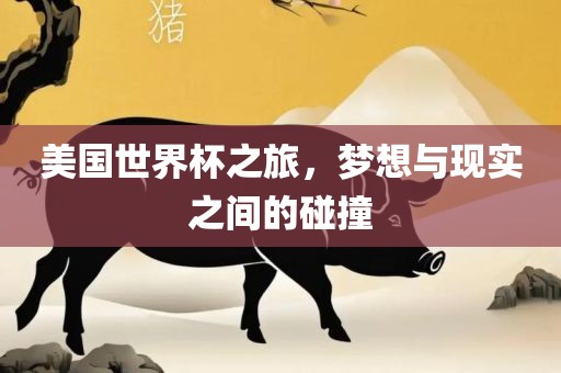 美国世界杯之旅，梦想与现实之间的碰撞