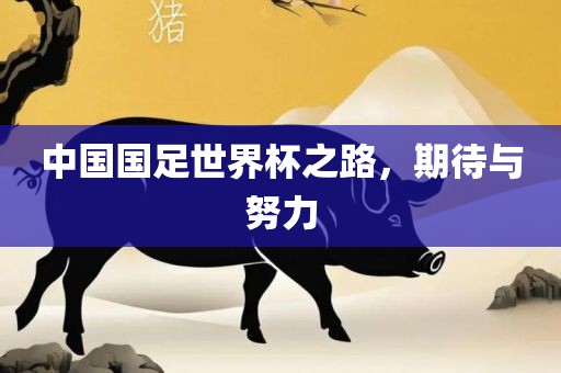 中国国足世界杯之路，广西贺州市华昌新材料有限公司期待与努力