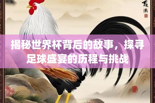 揭秘世界杯背后的故事，探寻足球盛宴的历程与挑战广西贺州市华昌新材料有限公司