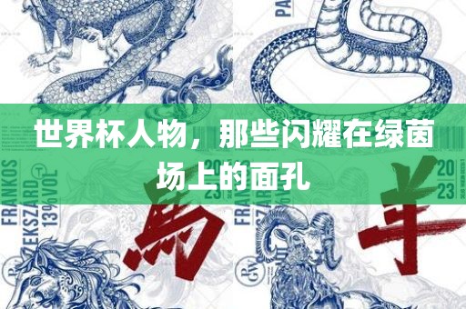 世界杯人物，那些闪耀在绿茵场上的面孔广西贺州市华昌新材料有限公司