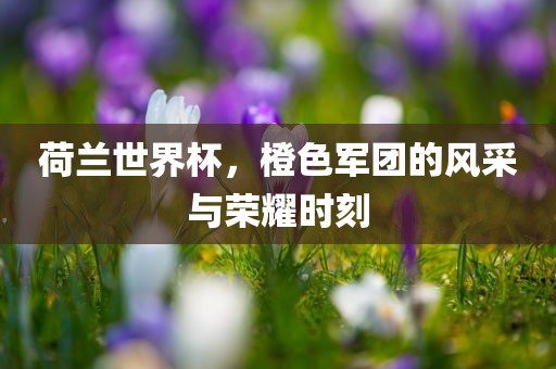 荷兰世界杯，橙色军团的风采与荣耀时刻广西贺州市华昌新材料有限公司