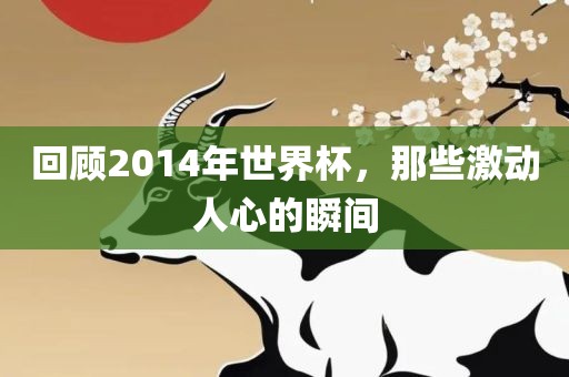 回顾2014年世界杯，那些激动人心的瞬间