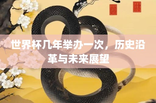 世界杯几年举办一广西贺州市华昌新材料有限公司次，历史沿革与未来展望