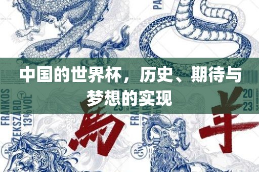 中国的世界杯，历史、期待与梦想的实现广西贺州市华昌新材料有限公司