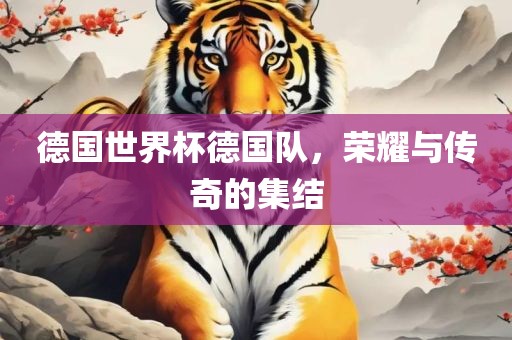 德国世界杯德国队，荣耀与传奇的集结