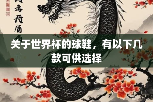 关于世界杯的球鞋，有以下几款可供选择广西贺州市华昌新材料有限公司