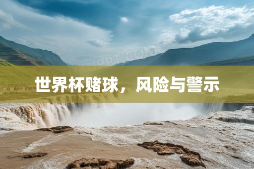 世界杯赌球广西贺州市华昌新材料有限公司，风险与警示