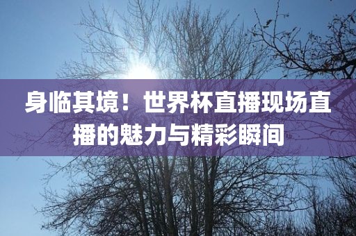 身临其境！世界杯直播现场直播的魅力与精彩瞬间