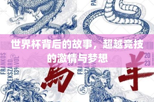 世界杯背后的故事，超越竞技的激情与梦想广西贺州市华昌新材料有限公司