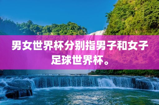 男女世界杯分别指男子和女子足球广西贺州市华昌新材料有限公司世界杯。