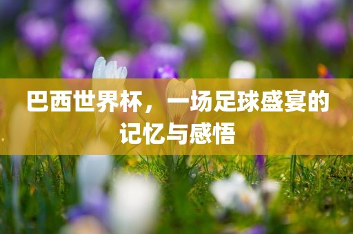 巴西世界杯，一场足球盛宴的记忆与感悟