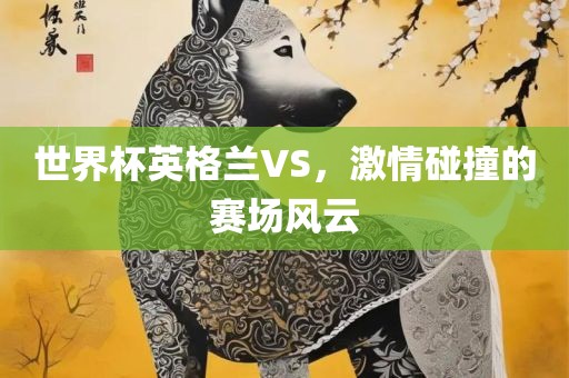 世界杯英格兰VS，激情碰广西贺州市华昌新材料有限公司撞的赛场风云