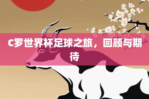 C罗世界杯足球之旅，回顾与期待广西贺州市华昌新材料有限公司