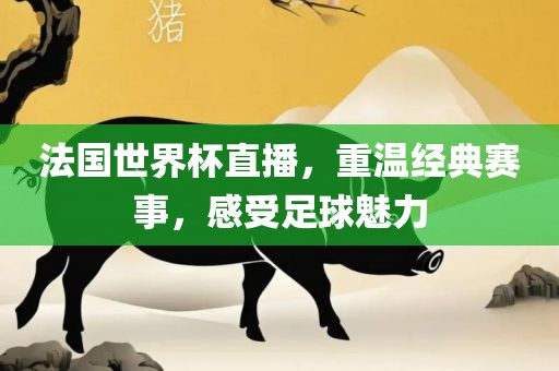 法国世界杯直播，重温经典赛事，感受足球魅力广西贺州市华昌新材料有限公司