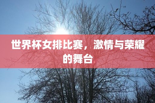世界杯女排比赛，激情与荣耀的舞台