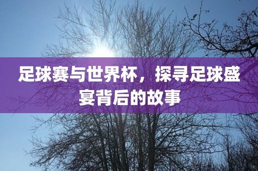 足球赛与世界杯，探寻足球盛宴背后的故事
