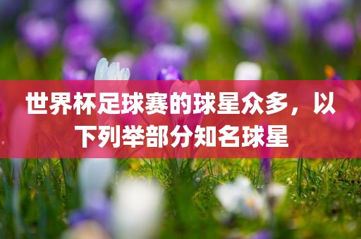 世界杯足球赛的球星众多，以下列举部分知名球星广西贺州市华昌新材料有限公司