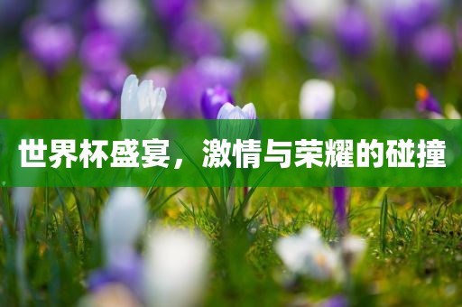 世界杯盛宴，激情与荣耀的碰撞