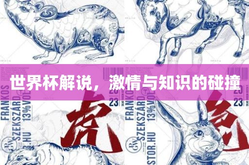 世界杯解说，激情与知识的碰撞