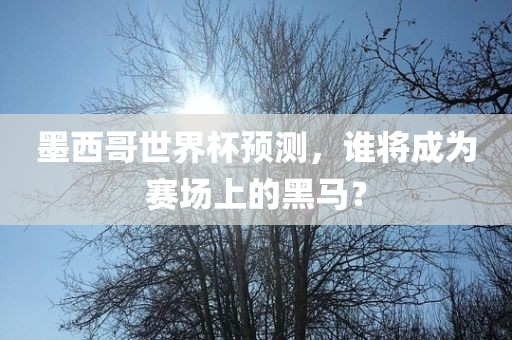 墨西哥世界杯预测，谁将成为赛场上的黑马？