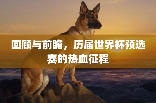 回顾与前瞻，历届世界杯预选赛的热血征程