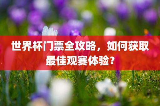 世界杯门票全攻略，如何获取最佳观赛体验？