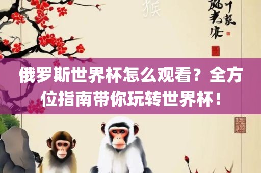 俄罗斯世界杯怎么观看？全方位指南带你玩转世界杯！